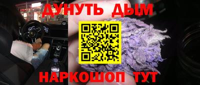 сатива Славгород