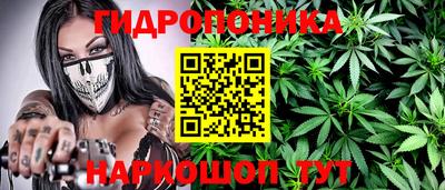 сатива Славгород