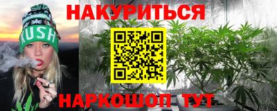сатива Славгород